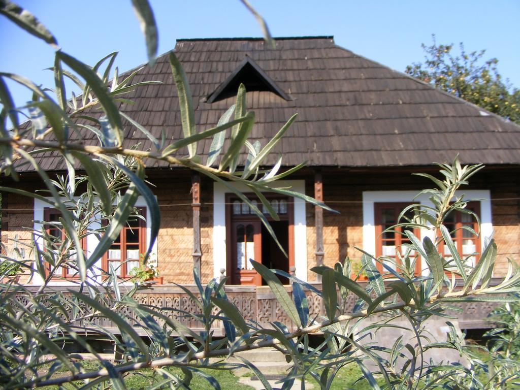 Villa Casa Bunicii Din Bucovina à Vama  Extérieur photo